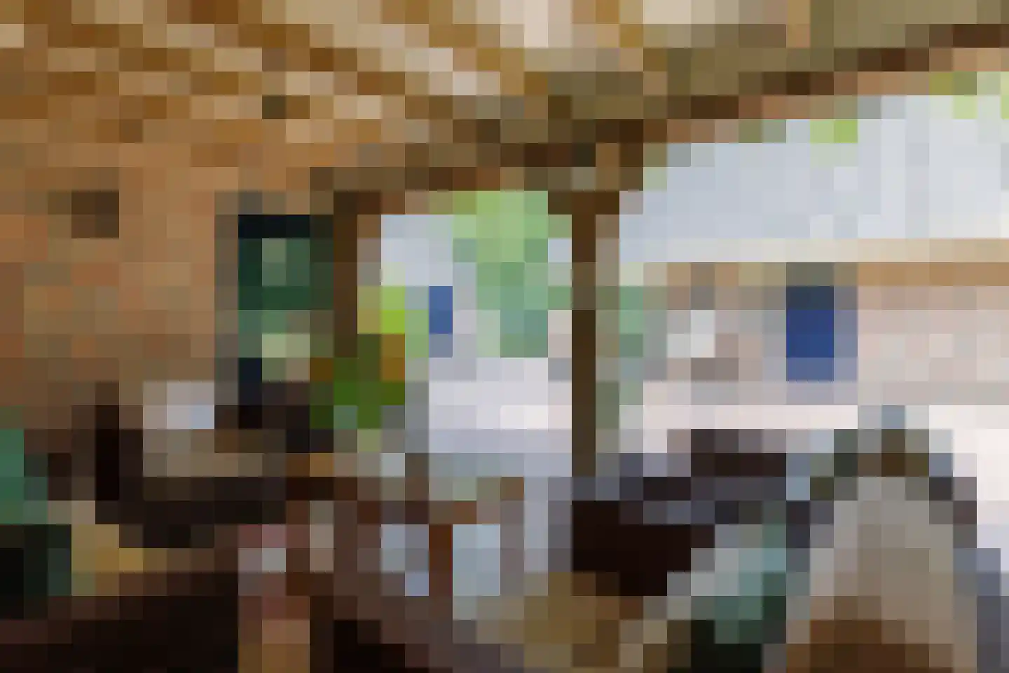 Badweg 16 Almelo thumbnail 69