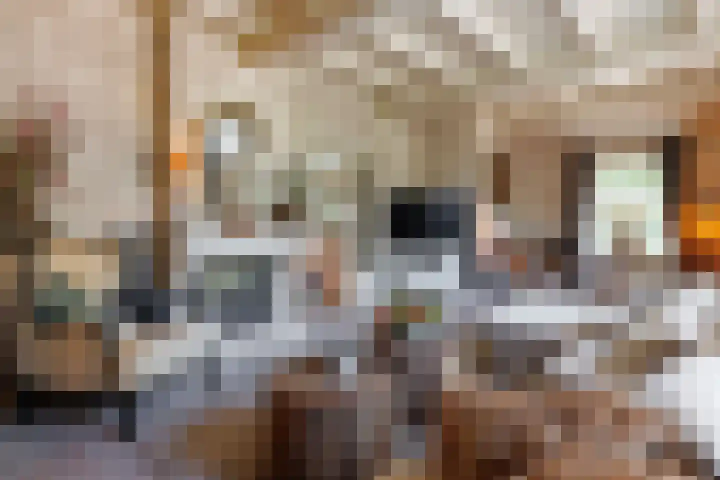 Badweg 16 Almelo thumbnail 7