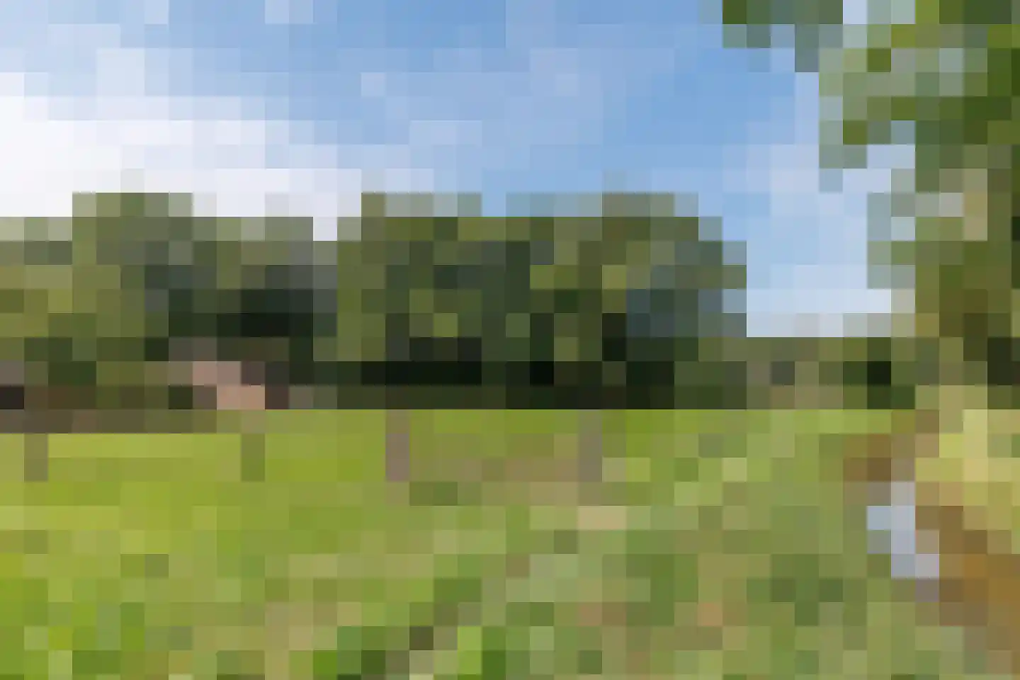 Badweg 16 Almelo thumbnail 75
