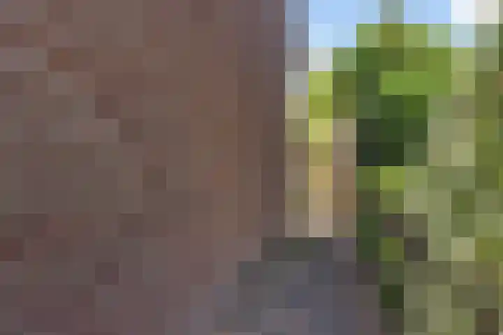 Badweg 20 Heerenveen thumbnail 12