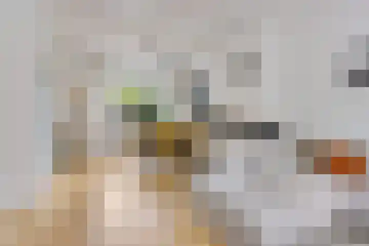 Badweg 20 Heerenveen thumbnail 16
