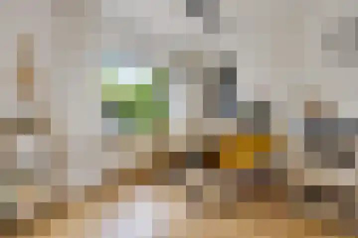 Badweg 20 Heerenveen thumbnail 17