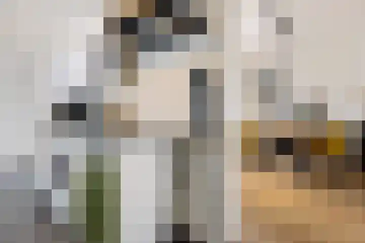 Badweg 20 Heerenveen thumbnail 20