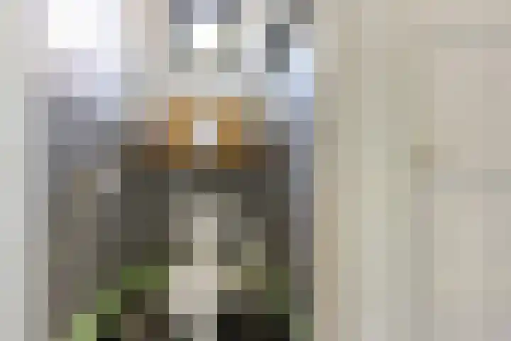 Badweg 20 Heerenveen thumbnail 21
