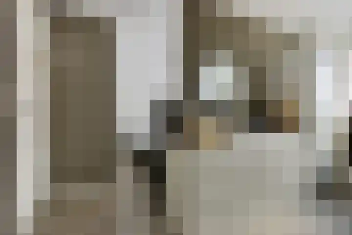 Badweg 20 Heerenveen thumbnail 4