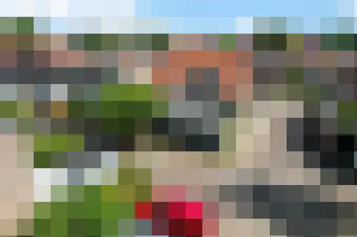 Badweg 20 Heerenveen thumbnail 43