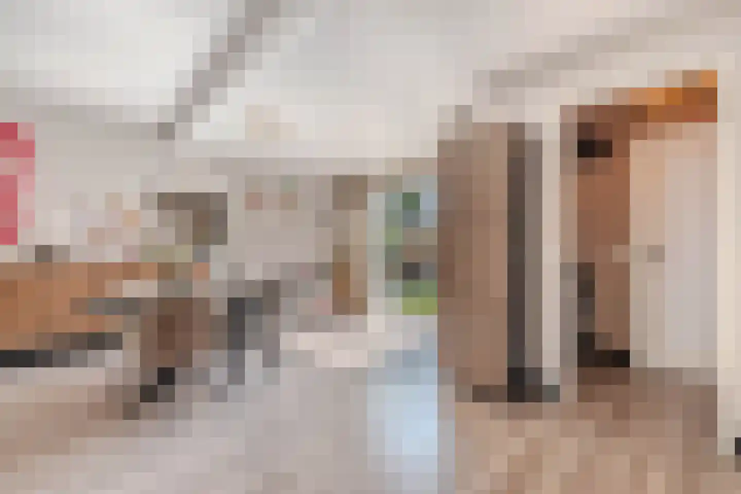 Badweg 22 Heerenveen thumbnail 17