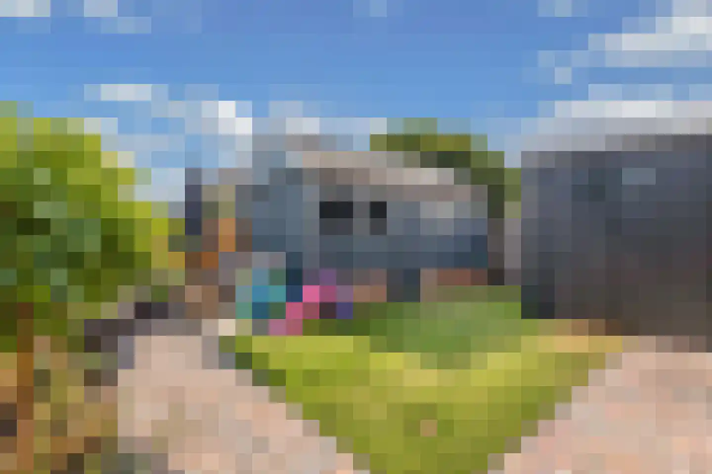 Badweg 22 Heerenveen thumbnail 33