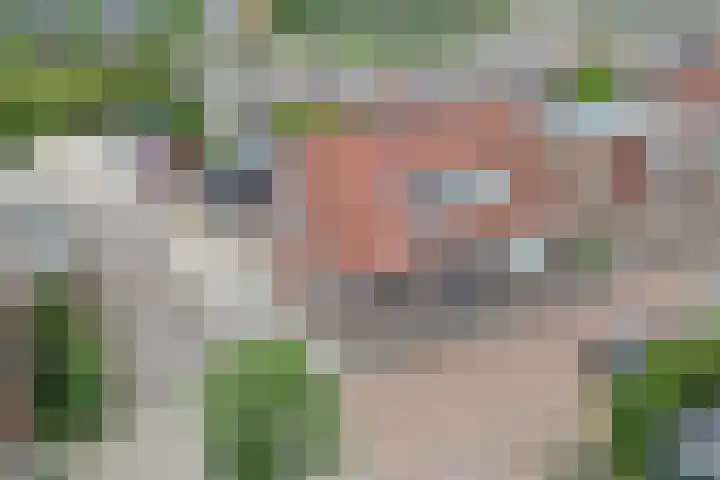 Badweg 22 Heerenveen thumbnail 36