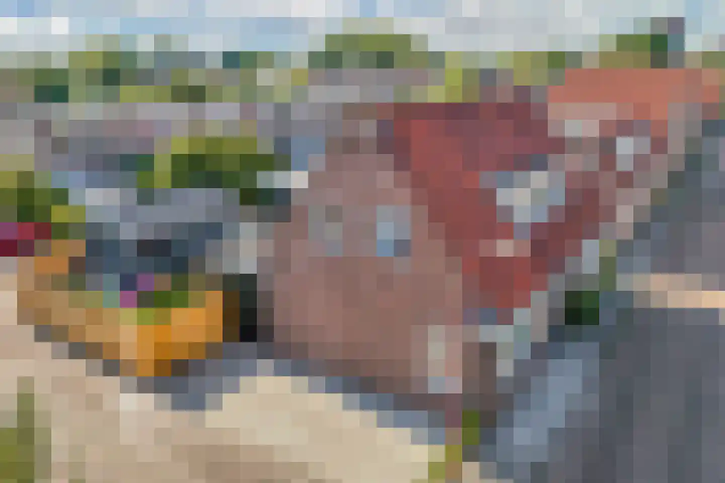 Badweg 22 Heerenveen thumbnail 48