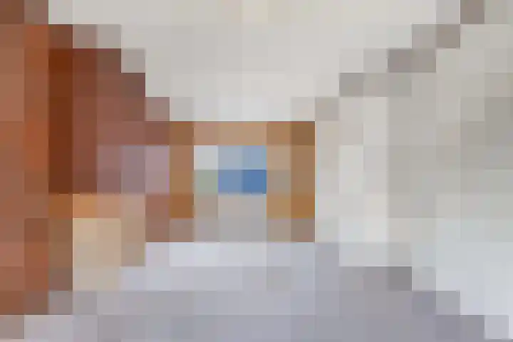 Badweg 22 Heerenveen thumbnail 8