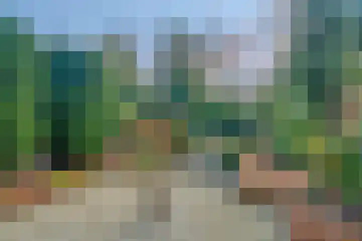 Badweg 27 Harderwijk thumbnail 37