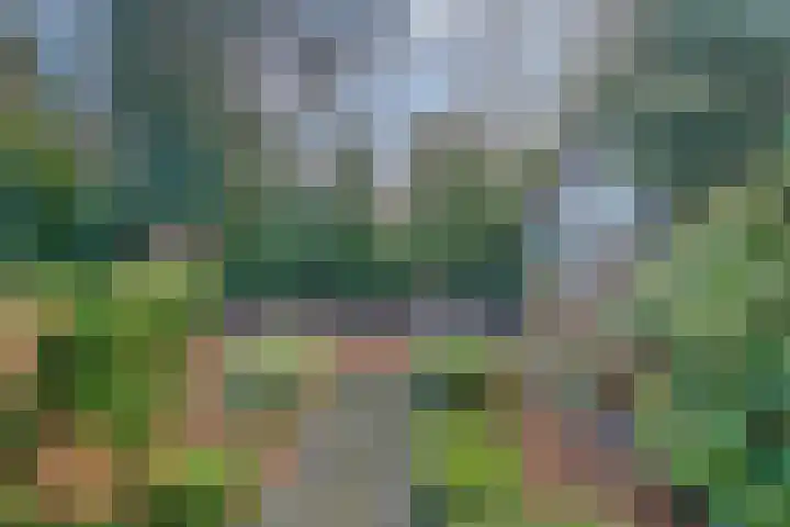 Badweg 27 Harderwijk thumbnail 39