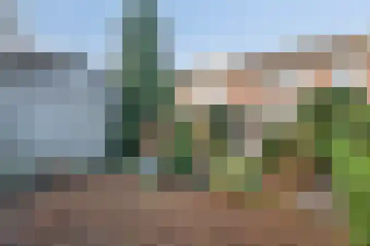 Badweg 27 Harderwijk thumbnail 40