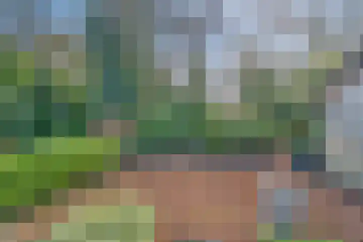 Badweg 27 Harderwijk thumbnail 41