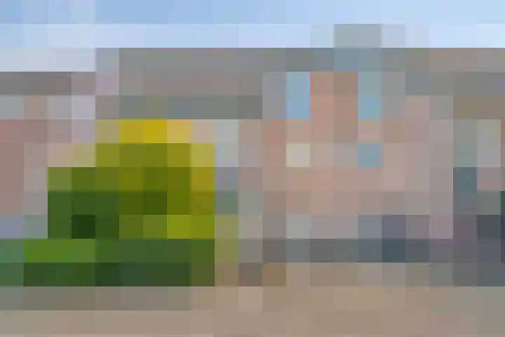 Badweg 27 Harderwijk thumbnail 45