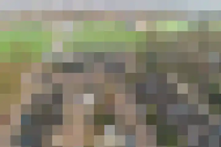 Badweg 27 Harderwijk thumbnail 48