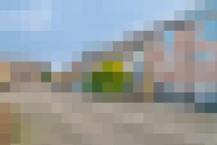 Badweg 27 Harderwijk thumbnail 51