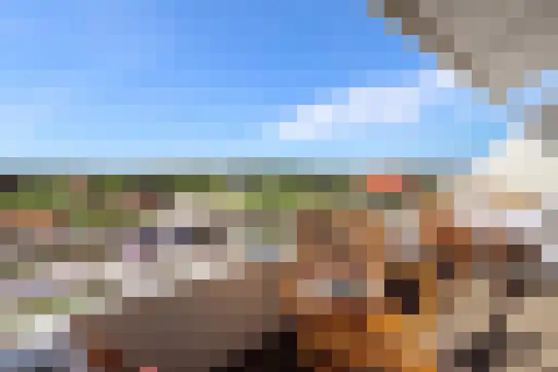 Badweg 3 252 Vlieland thumbnail 4