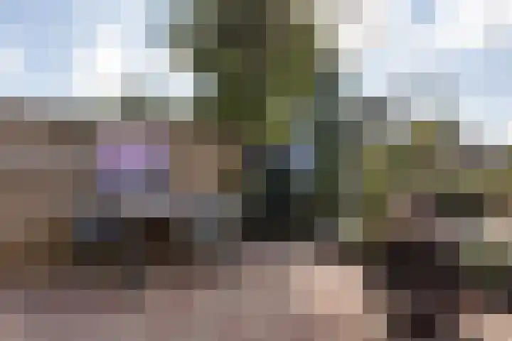 Badweg 32 C Heerenveen thumbnail 14