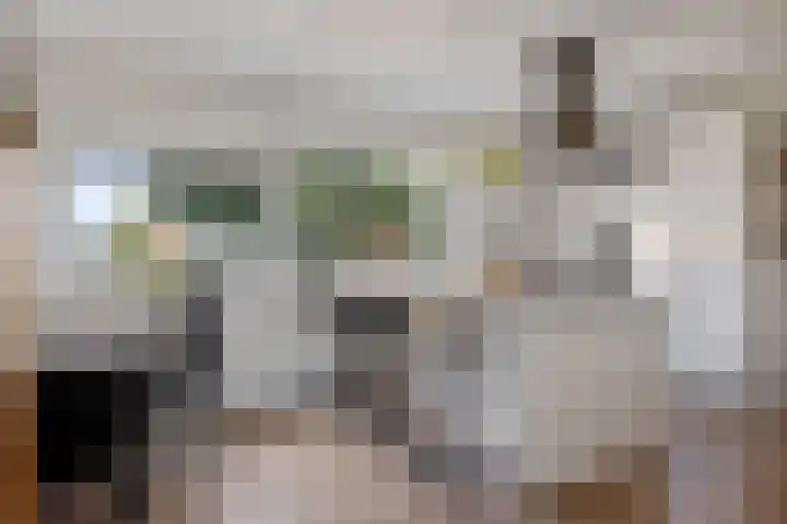 Badweg 32 C Heerenveen thumbnail 16