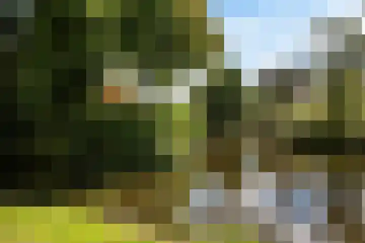 Badweg 32 C Heerenveen thumbnail 37