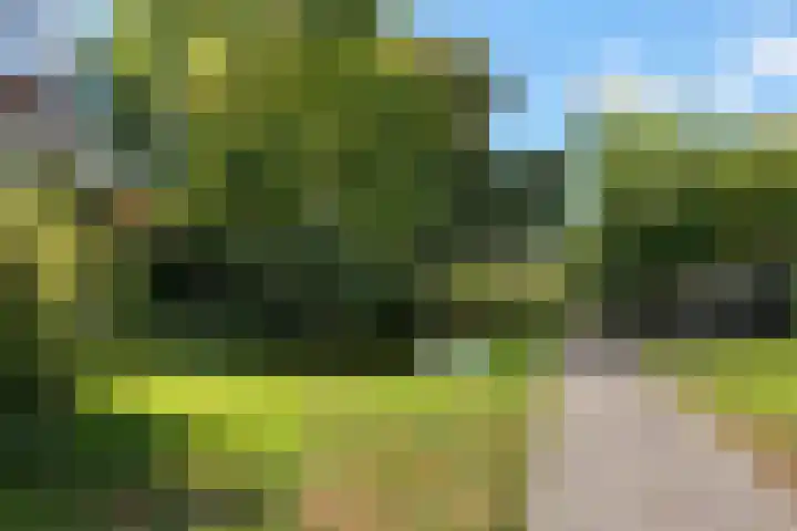 Badweg 32 C Heerenveen thumbnail 38