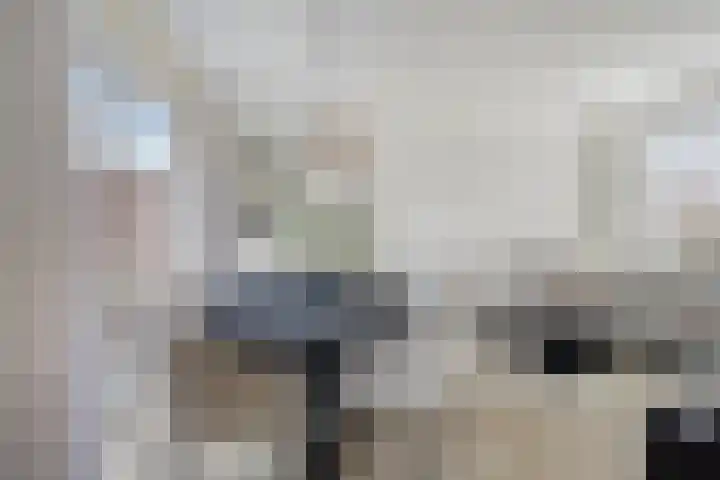 Badweg 34 Meeden thumbnail 16