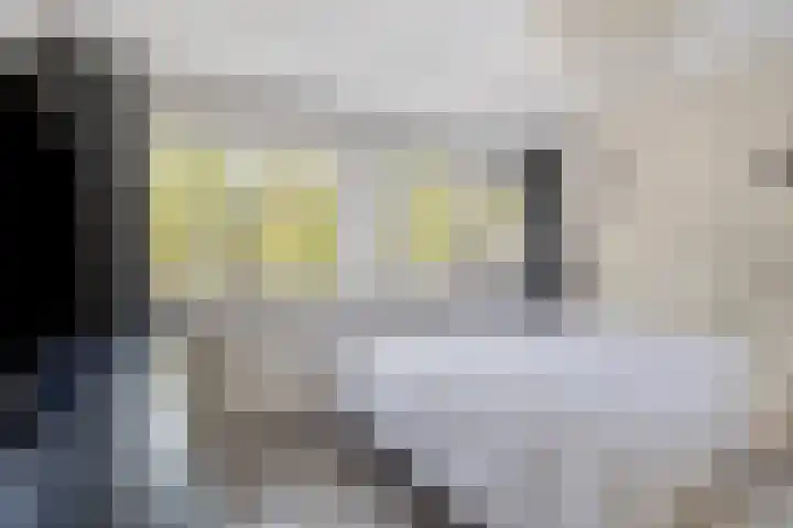 Badweg 34 Meeden thumbnail 24