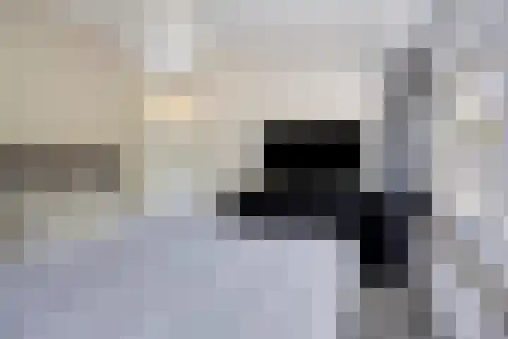 Badweg 34 Meeden thumbnail 25