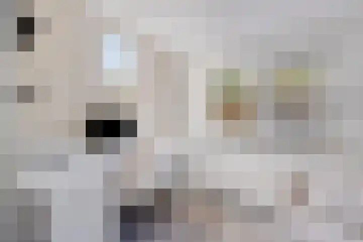 Badweg 34 Meeden thumbnail 26