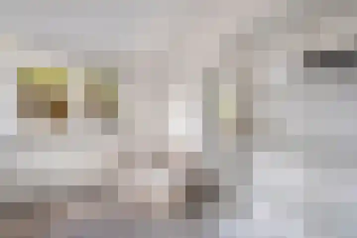 Badweg 34 Meeden thumbnail 27