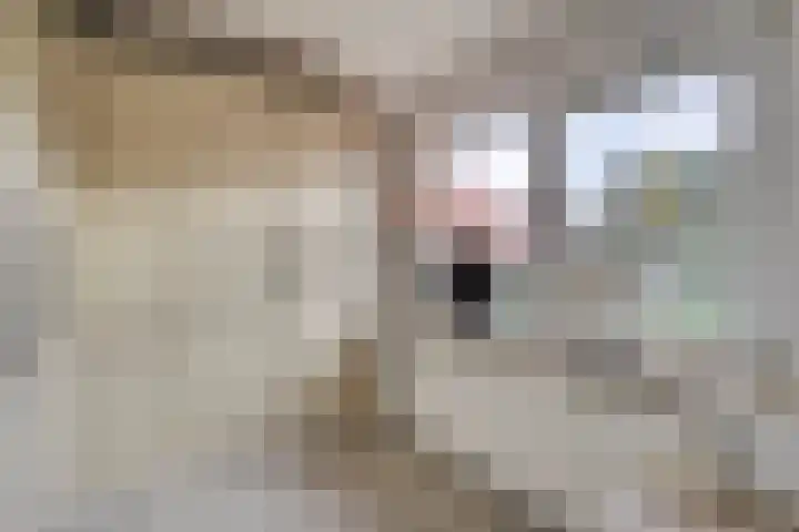 Badweg 34 Meeden thumbnail 28