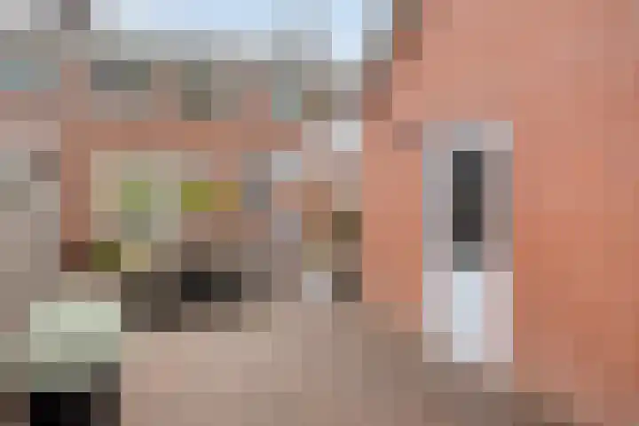 Badweg 34 Meeden thumbnail 35