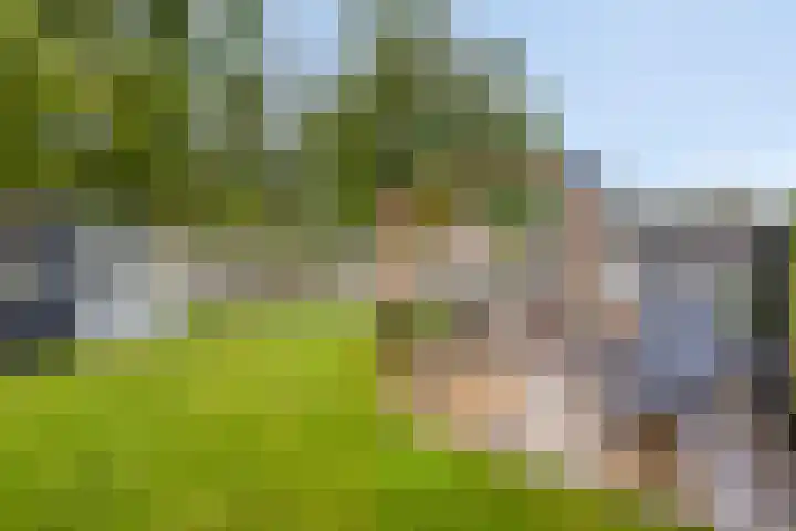 Badweg 34 Meeden thumbnail 41