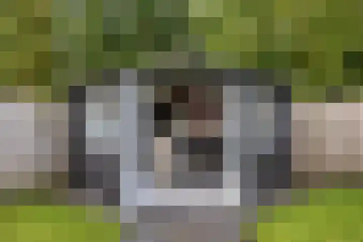 Badweg 34 Meeden thumbnail 42