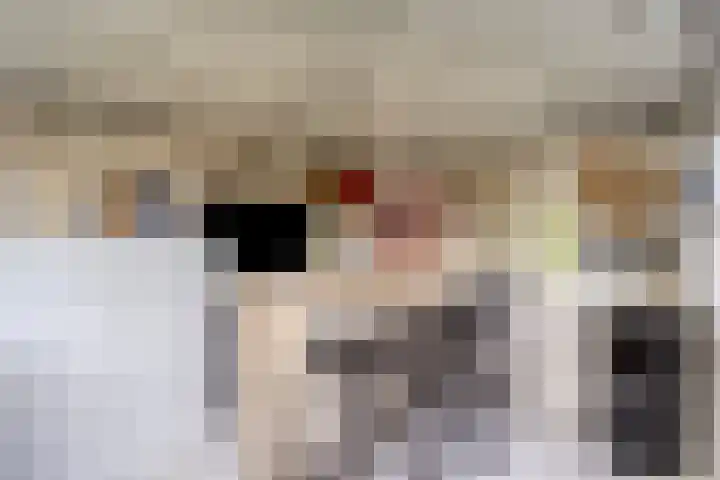 Badweg 34 Meeden thumbnail 43