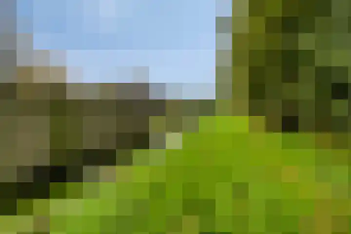 Badweg 34 Meeden thumbnail 44