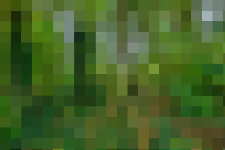 Badweg 34 Meeden thumbnail 45