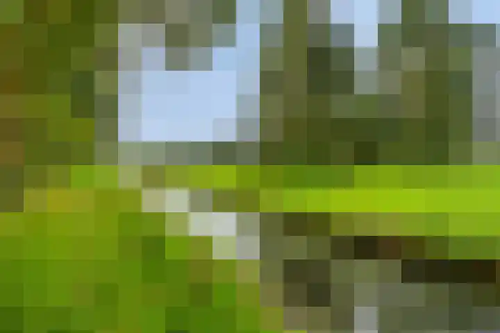Badweg 34 Meeden thumbnail 46
