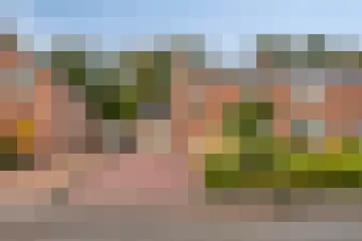 Badweg 34 Meeden thumbnail 5