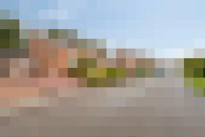 Badweg 34 Meeden thumbnail 7