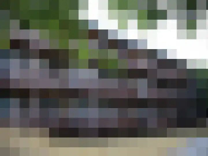 Badweg 4 19 Vlieland thumbnail 22