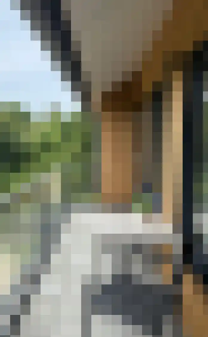 Badweg 4 19 Vlieland thumbnail 23