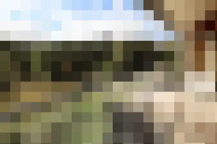 Badweg 4 19 Vlieland thumbnail 4
