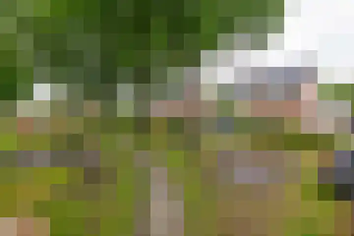Badweg 4 Almelo thumbnail 29