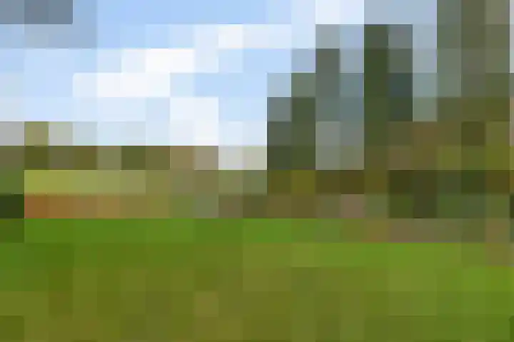 Badweg 4 Ulft thumbnail 16