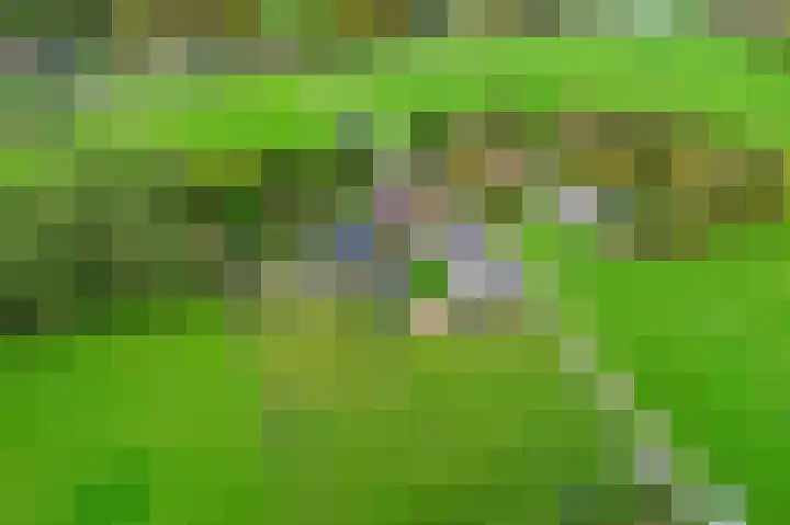 Badweg 4 Ulft thumbnail 4