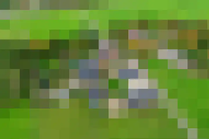 Badweg 4 Ulft thumbnail 5