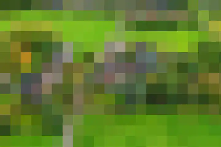 Badweg 4 Ulft thumbnail 6